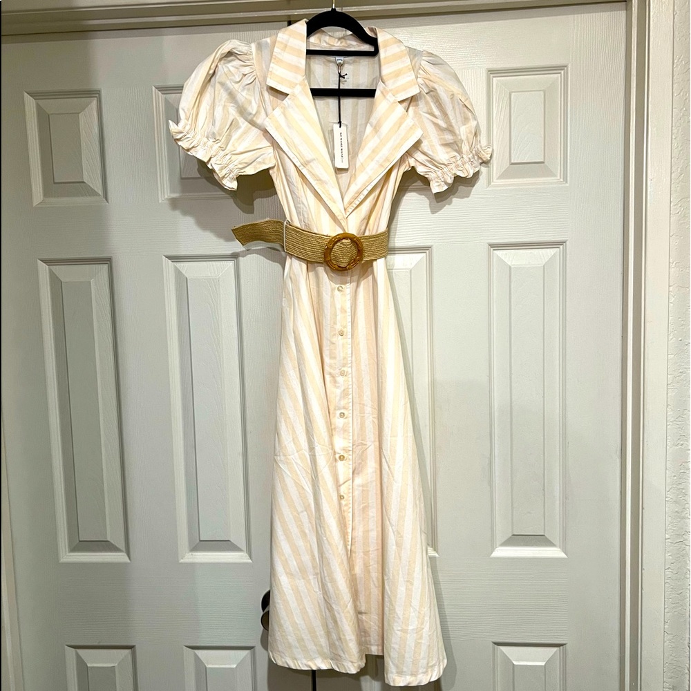 NWT WEWOREWHAT MACRO STRIPED BELLA MAXI DRESS - Picture 3 of 14